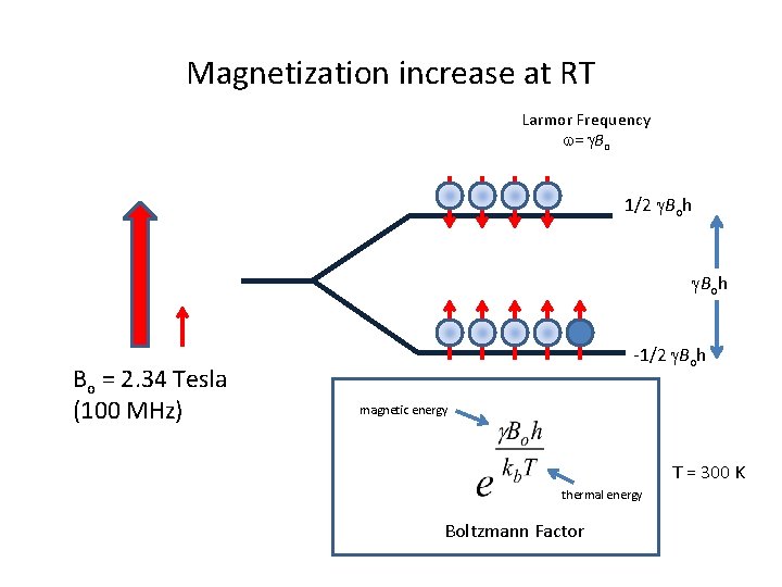 Magnetization increase at RT Larmor Frequency w= g. Bo 1/2 g. Boh Bo =