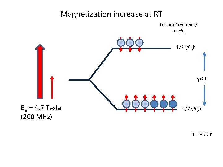 Magnetization increase at RT Larmor Frequency w= g. Bo 1/2 g. Boh Bo =