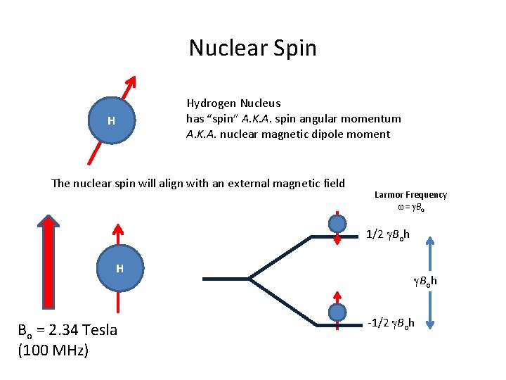 Nuclear Spin Hydrogen Nucleus has “spin” A. K. A. spin angular momentum A. K.