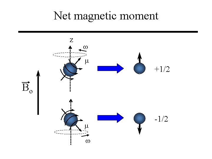 Net magnetic moment z w m +1/2 Bo m w -1/2 