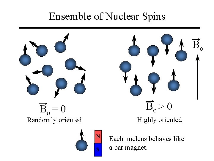 Ensemble of Nuclear Spins Bo Bo > 0 Bo = 0 Highly oriented Randomly