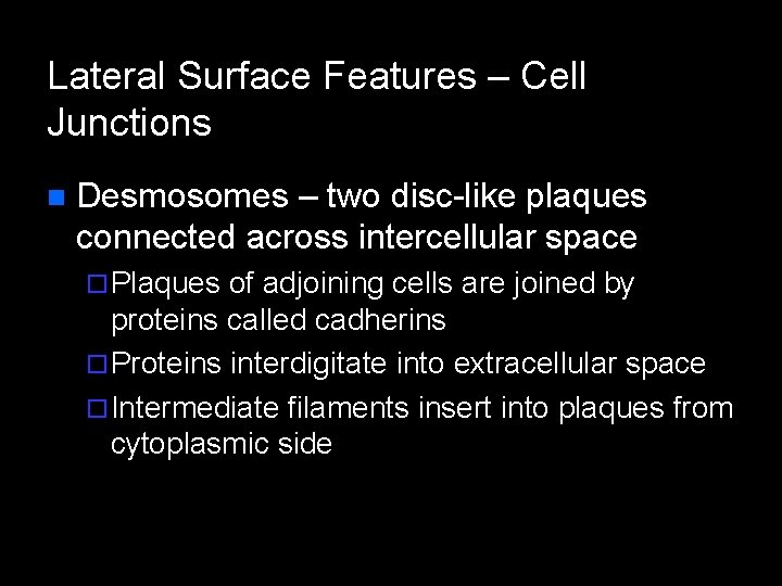 Lateral Surface Features – Cell Junctions n Desmosomes – two disc-like plaques connected across