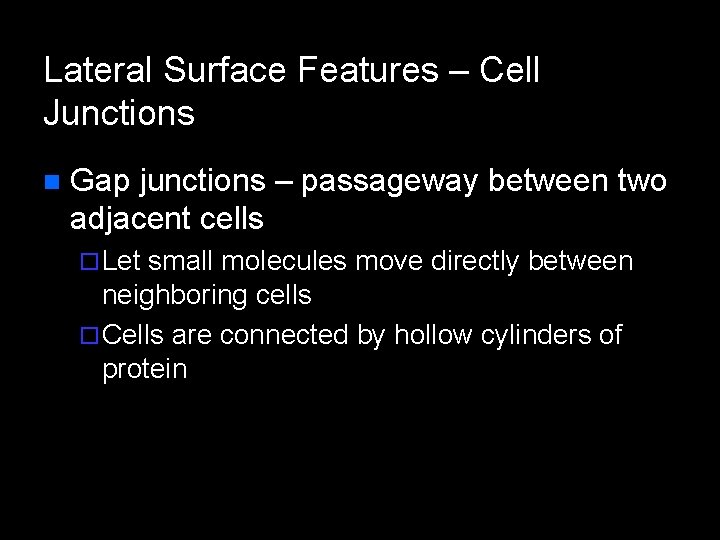 Lateral Surface Features – Cell Junctions n Gap junctions – passageway between two adjacent