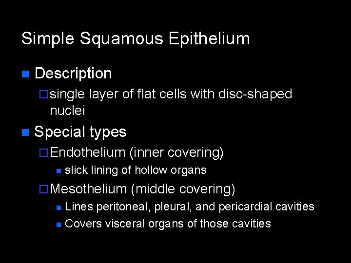 Simple Squamous Epithelium n Description ¨ single layer of flat cells with disc-shaped nuclei Simple Squamous Epithelium n Description ¨ single layer of flat cells with disc-shaped nuclei
