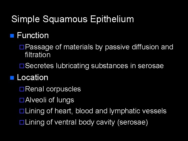 Simple Squamous Epithelium n Function ¨ Passage of materials by passive diffusion and ¨