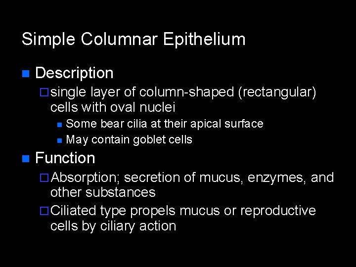 Simple Columnar Epithelium n Description ¨ single layer of column-shaped (rectangular) cells with oval