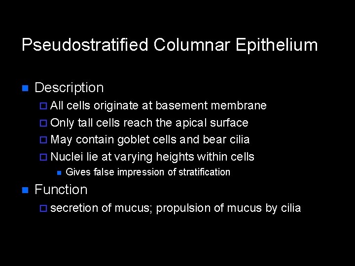 Pseudostratified Columnar Epithelium n Description ¨ All cells originate at basement membrane ¨ Only Pseudostratified Columnar Epithelium n Description ¨ All cells originate at basement membrane ¨ Only