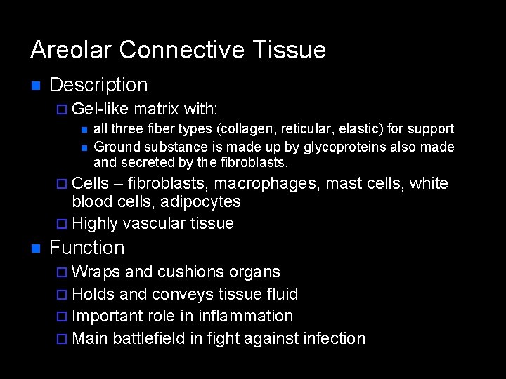 Areolar Connective Tissue n Description ¨ Gel-like matrix with: n all three fiber types