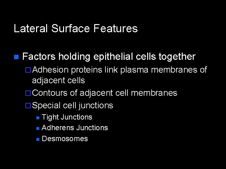 Lateral Surface Features n Factors holding epithelial cells together ¨ Adhesion proteins link plasma
