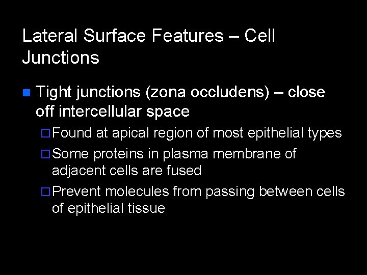 Lateral Surface Features – Cell Junctions n Tight junctions (zona occludens) – close off