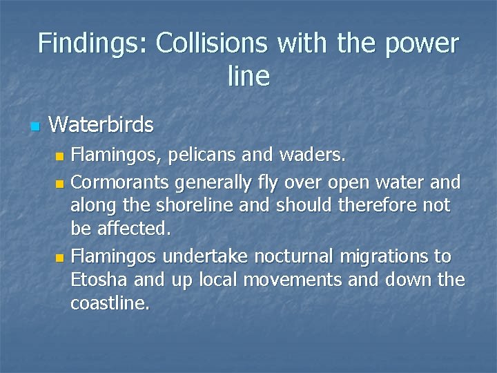 Findings: Collisions with the power line n Waterbirds Flamingos, pelicans and waders. n Cormorants