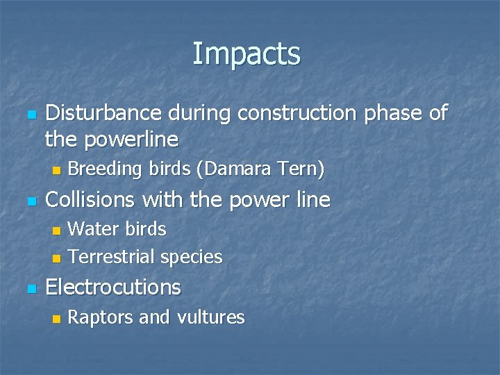 Impacts n Disturbance during construction phase of the powerline n n Breeding birds (Damara