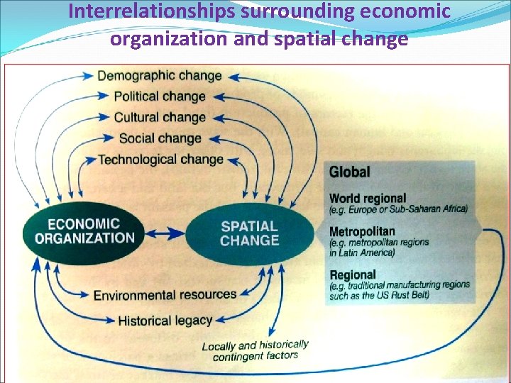 Interrelationships surrounding economic organization and spatial change 