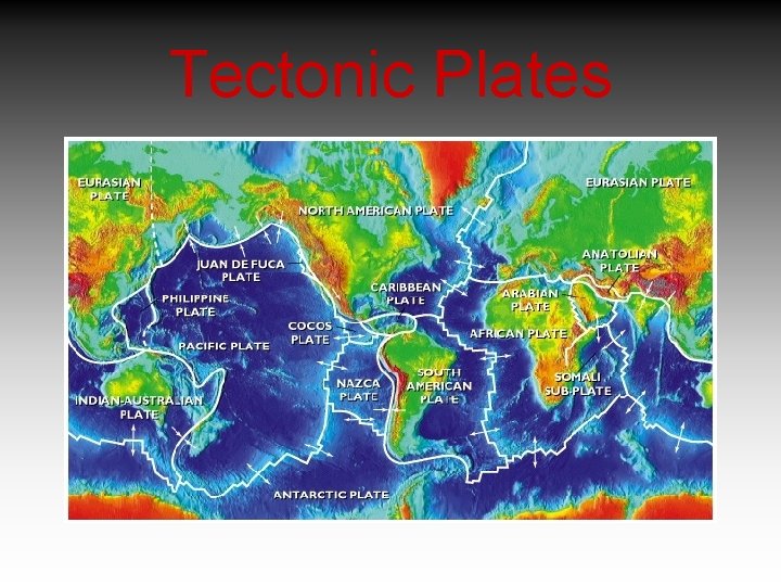 Tectonic Plates 