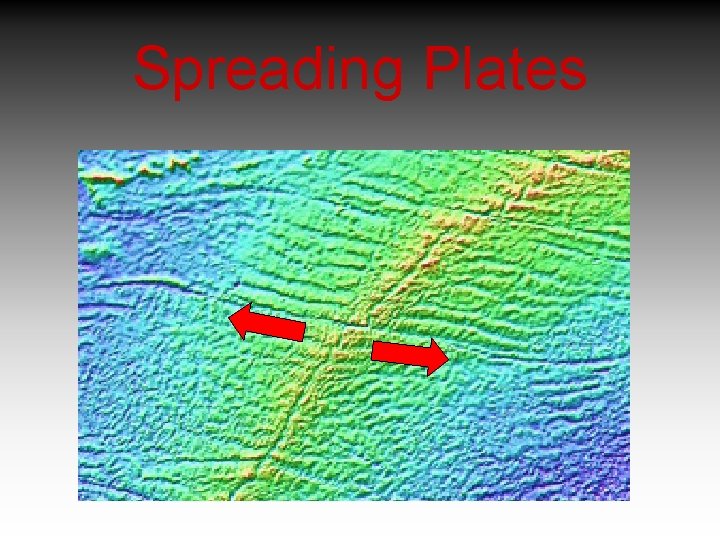Spreading Plates 