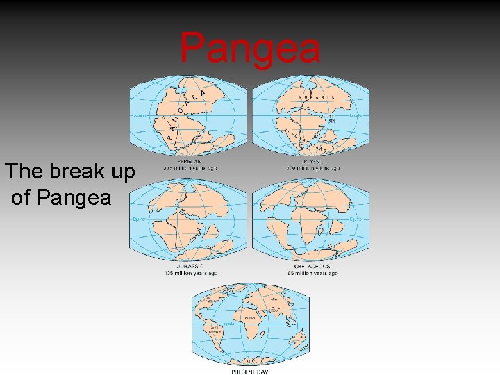 Pangea The break up of Pangea 