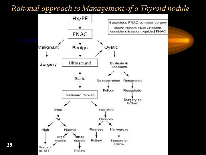 Rational approach to Management of a Thyroid nodule 28 
