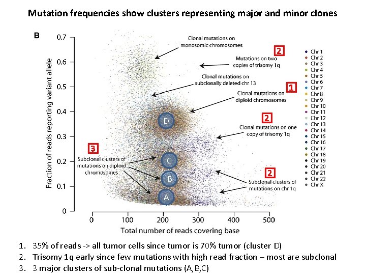 Mutation frequencies show clusters representing major and minor clones 2 1 D 2 3