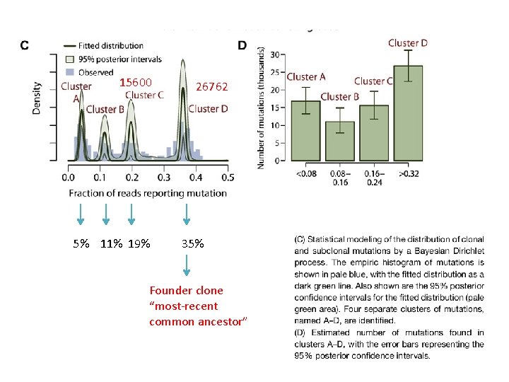15600 5% 11% 19% 26762 35% Founder clone “most-recent common ancestor” 