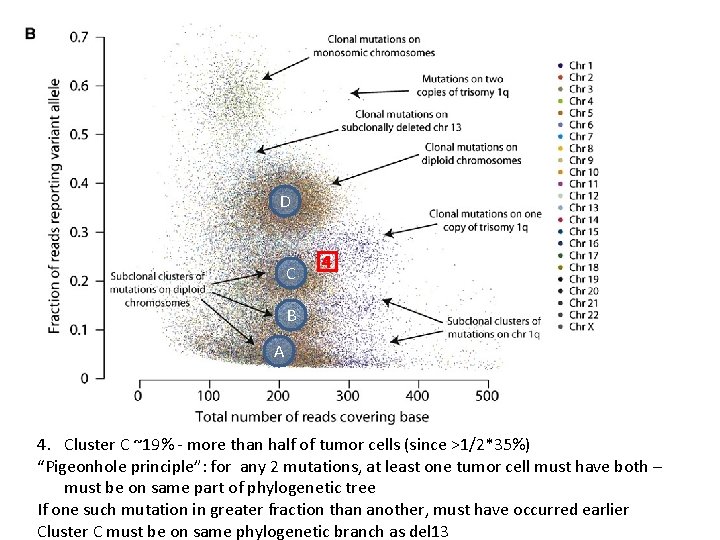 D C 4 B A 4. Cluster C ~19% - more than half of