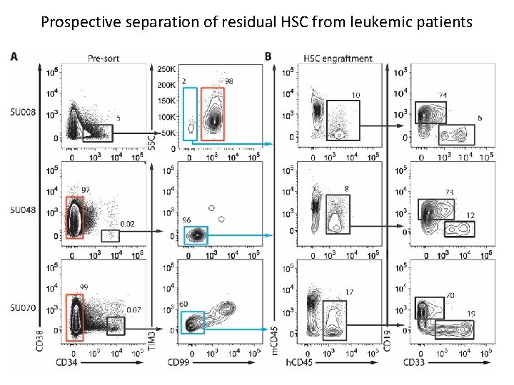 Prospective separation of residual HSC from leukemic patients 