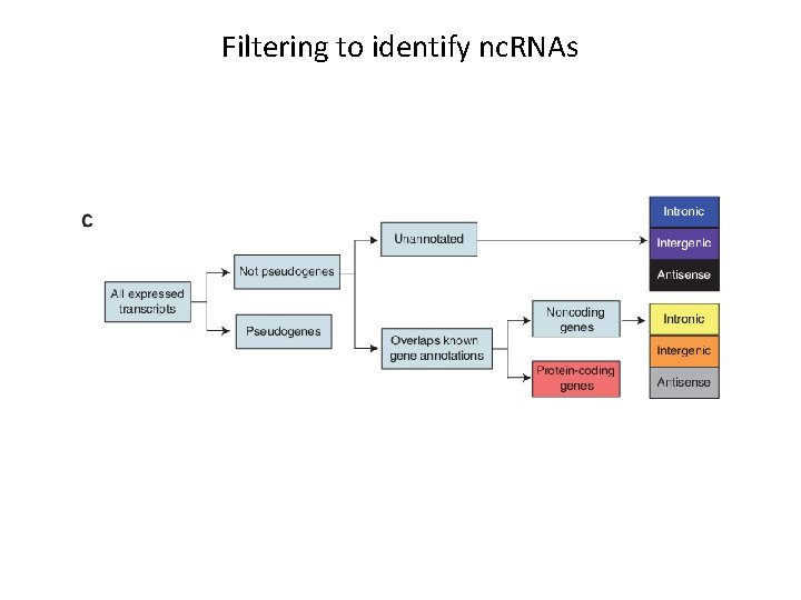 Filtering to identify nc. RNAs 