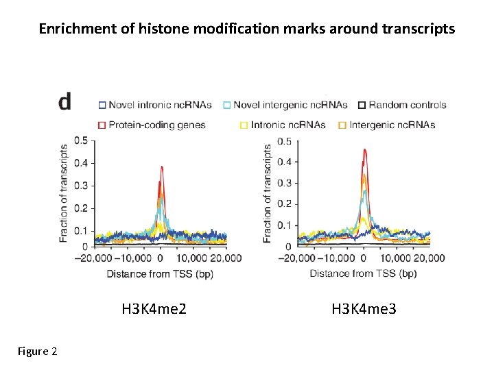 Enrichment of histone modification marks around transcripts H 3 K 4 me 2 Figure