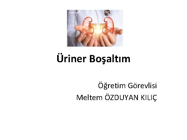 Üriner Boşaltım Öğretim Görevlisi Meltem ÖZDUYAN KILIÇ 