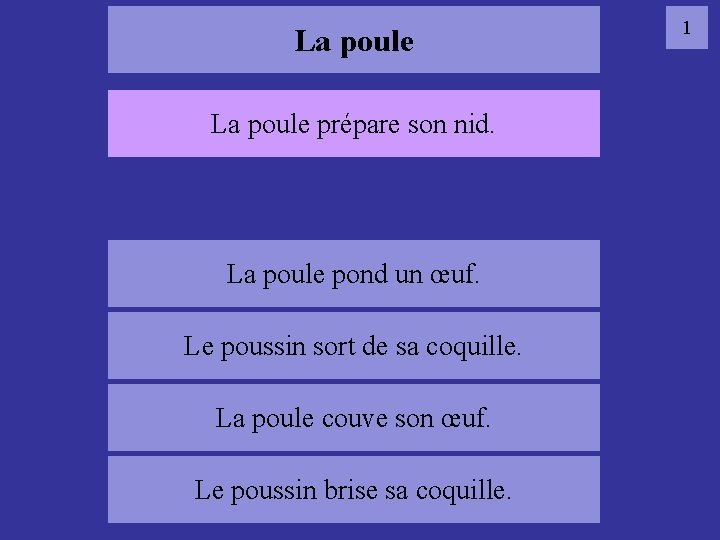 La poule prépare son nid. 01 poule La poule pond un œuf. Le poussin