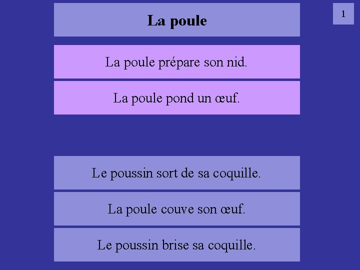 La poule prépare son nid. La poule pond un œuf. 01 poule Le poussin