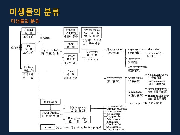 Suborder Taxanomic rank Division Subdivision Class Order Suborder Family