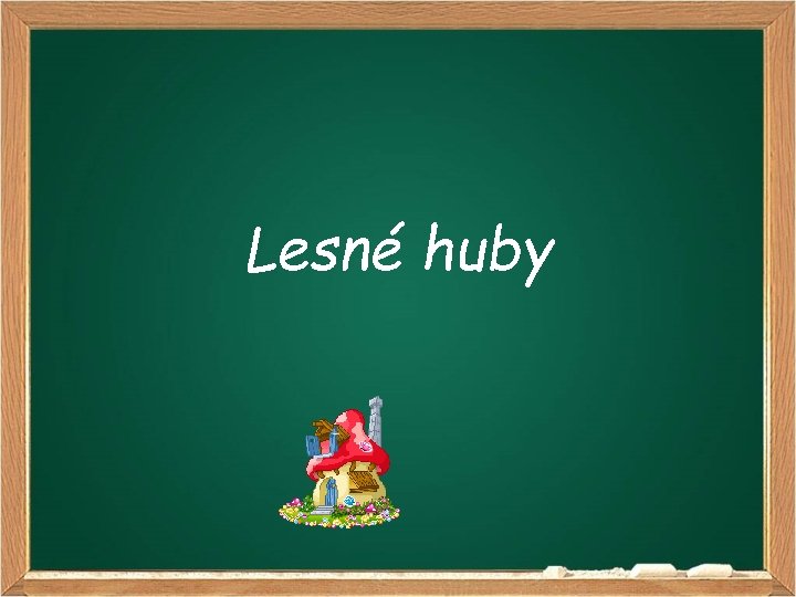 Lesné huby 