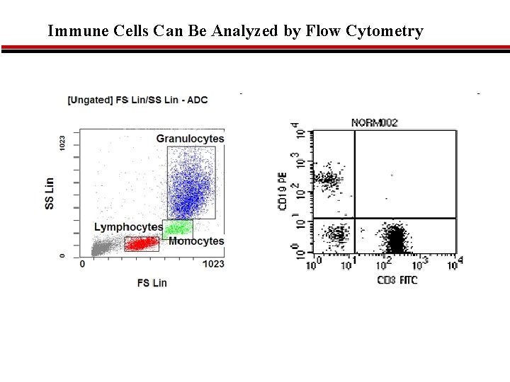 Immune Cells Can Be Analyzed by Flow Cytometry 