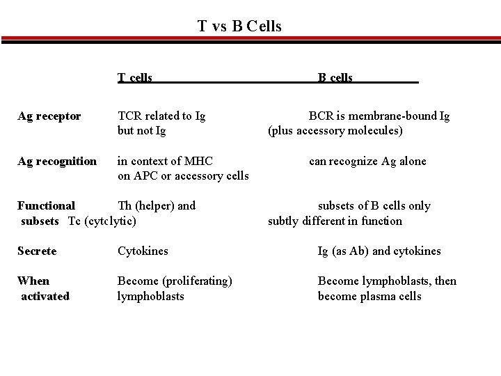 T vs B Cells T cells Ag receptor TCR related to Ig but not