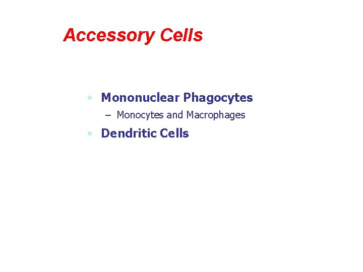 Accessory Cells • Mononuclear Phagocytes – Monocytes and Macrophages • Dendritic Cells 