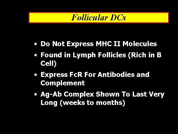 Follicular DCs • Do Not Express MHC II Molecules • Found in Lymph Follicles