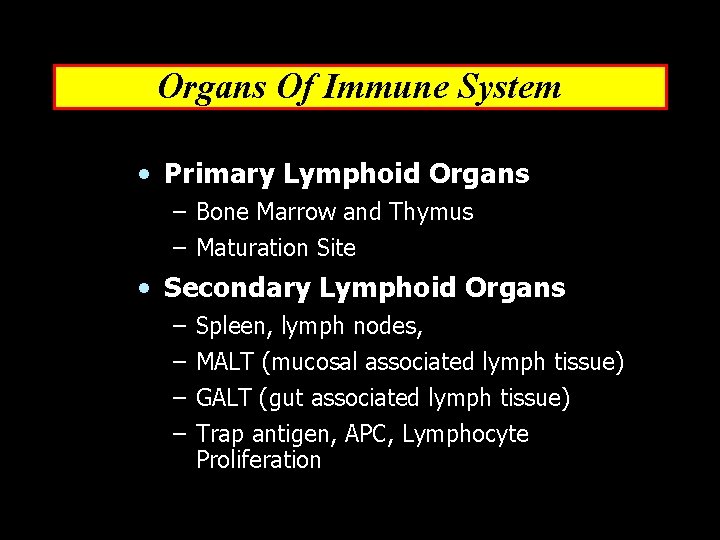 Organs Of Immune System • Primary Lymphoid Organs – Bone Marrow and Thymus –