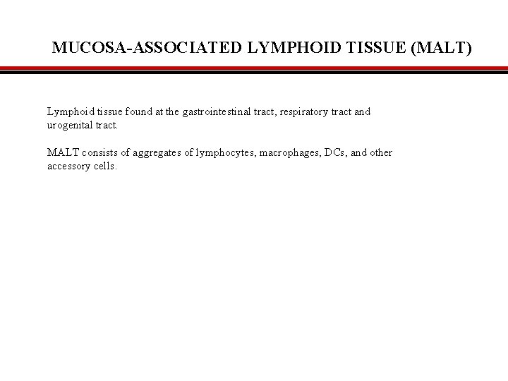 MUCOSA-ASSOCIATED LYMPHOID TISSUE (MALT) Lymphoid tissue found at the gastrointestinal tract, respiratory tract and