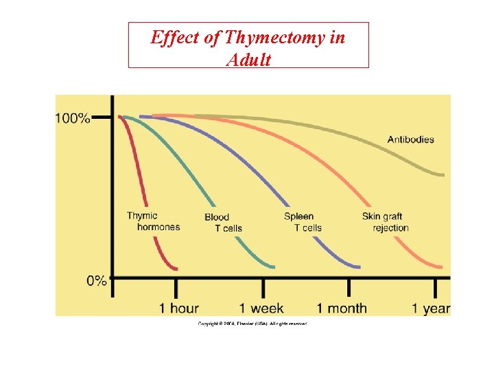 Effect of Thymectomy in Adult 
