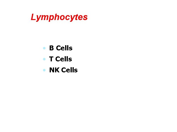 Lymphocytes • B Cells • T Cells • NK Cells 