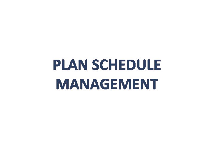 PLAN SCHEDULE MANAGEMENT 