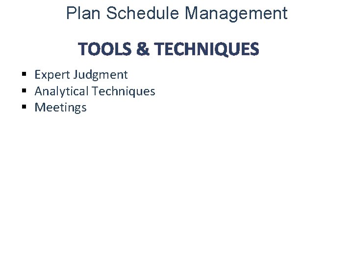 Plan Schedule Management TOOLS & TECHNIQUES § Expert Judgment § Analytical Techniques § Meetings