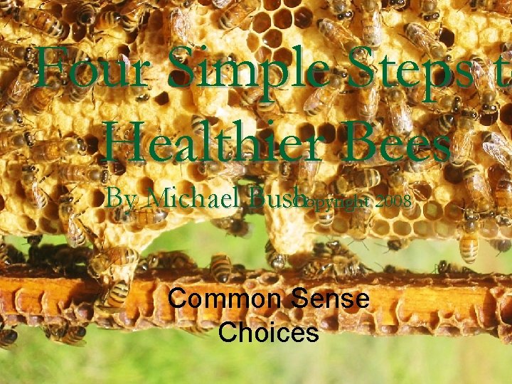 Four Simple Steps to Healthier Bees By Michael Bush Copyright 2008 Common Sense Choices