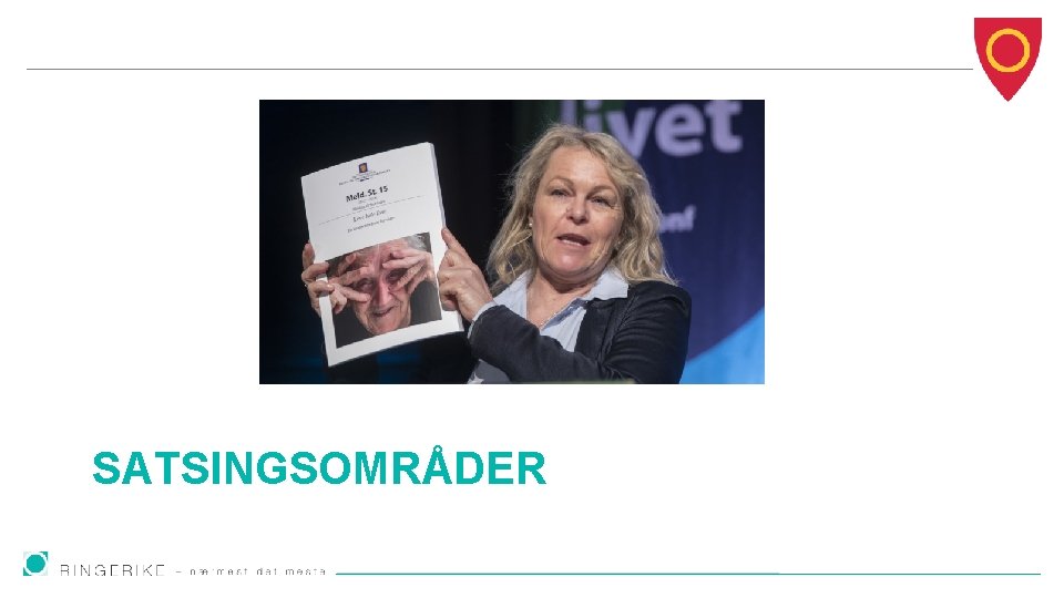 SATSINGSOMRÅDER 