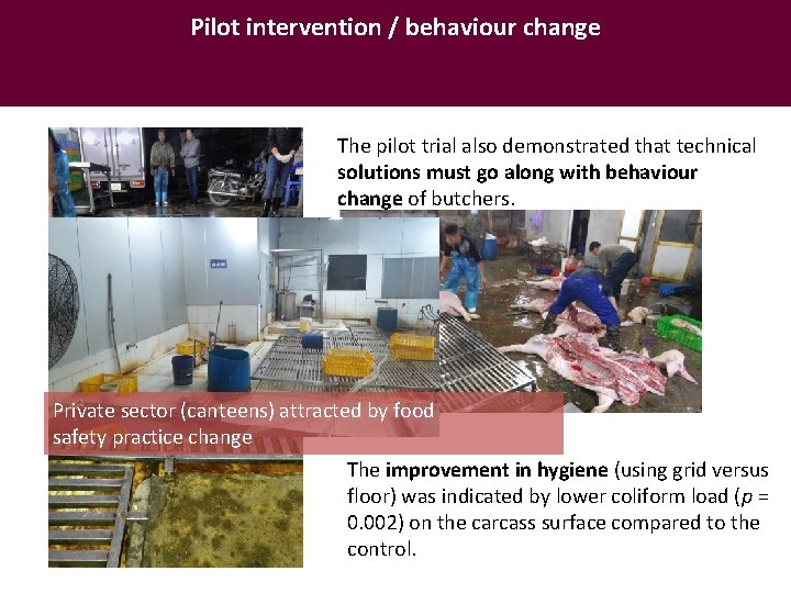 Pilot intervention / behaviour change The pilot trial also demonstrated that technical solutions must