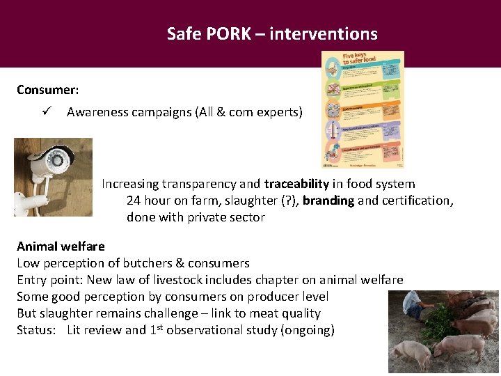 Safe PORK – interventions Consumer: ü Awareness campaigns (All & com experts) Increasing transparency