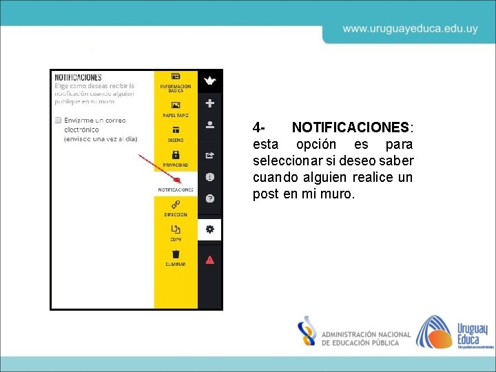 4 NOTIFICACIONES: esta opción es para seleccionar si deseo saber cuando alguien realice un