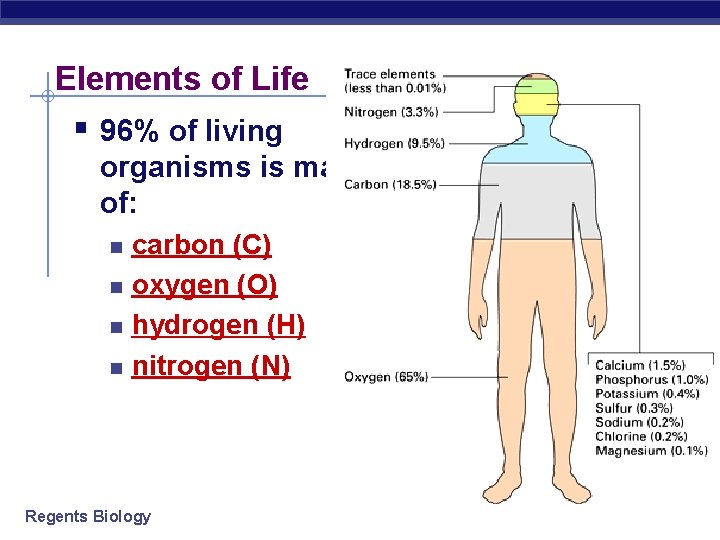 Elements of Life § 96% of living organisms is made of: n n carbon