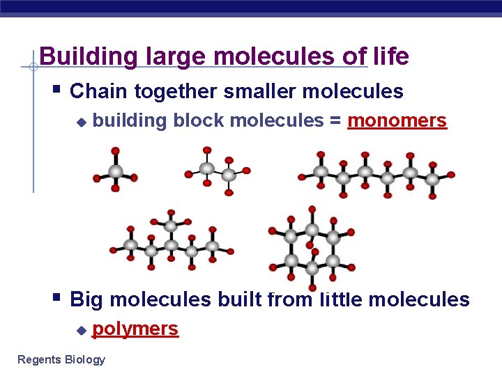 Building large molecules of life § Chain together smaller molecules u building block molecules