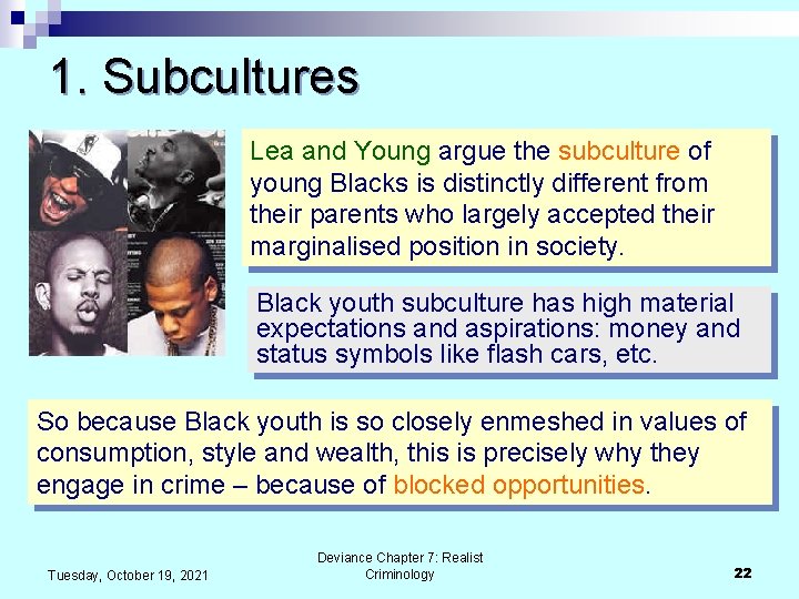 1. Subcultures Lea and Young argue the subculture of young Blacks is distinctly different